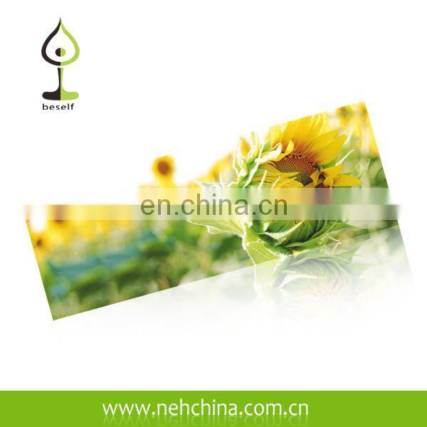 PVC Custom Print Yoga Mat