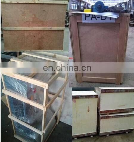 Hollow stuffed noodle producer Italy macaroni making machine Color with a filling noodle machine