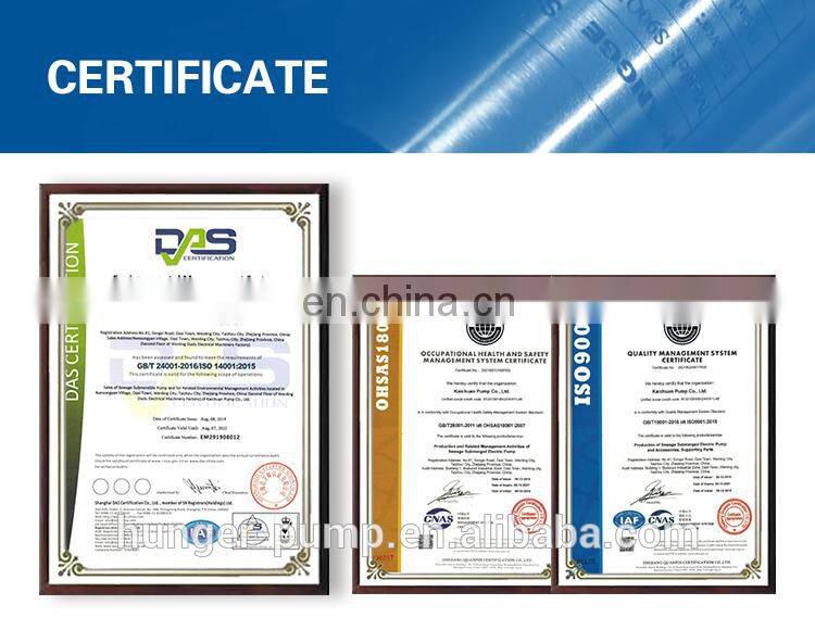 AC/DC 4PSS 50-60HZ 304 Stainless Steel Impeller Irrigation solar deep well water pumps