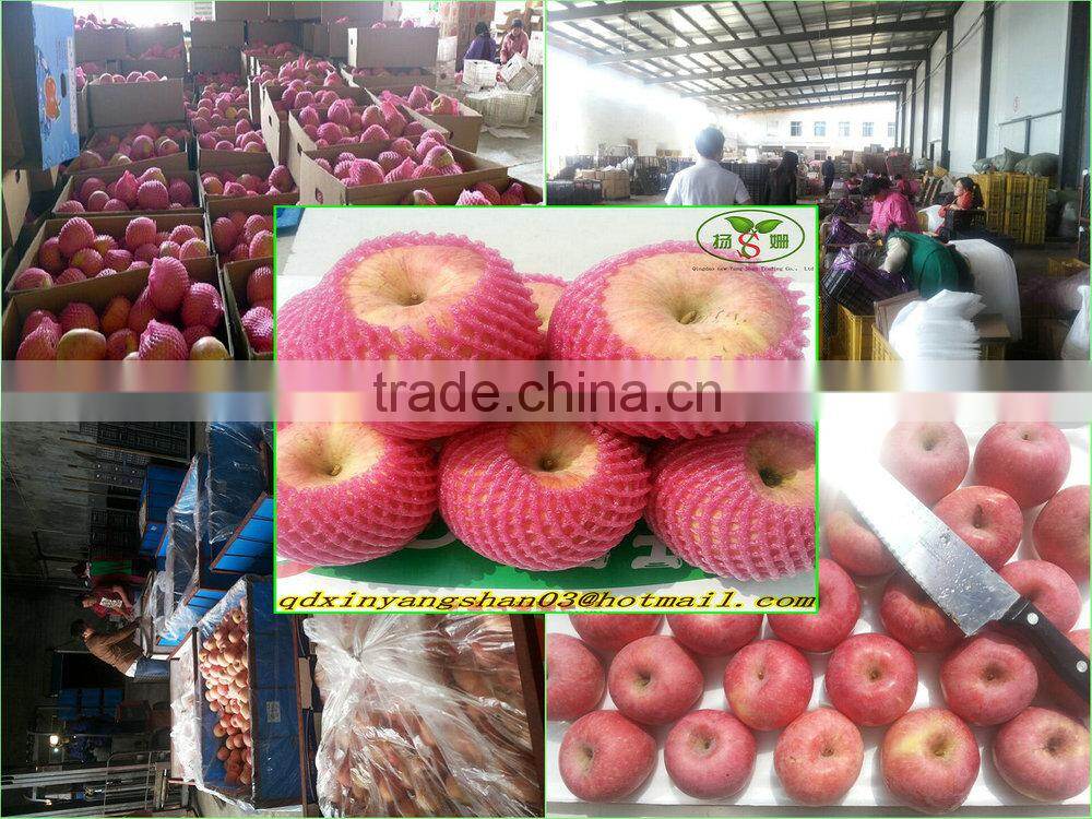 100% Organic Apple/Fuji apple/Fresh Apples