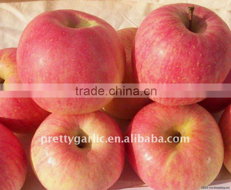 red Fuji apple 2011 crop