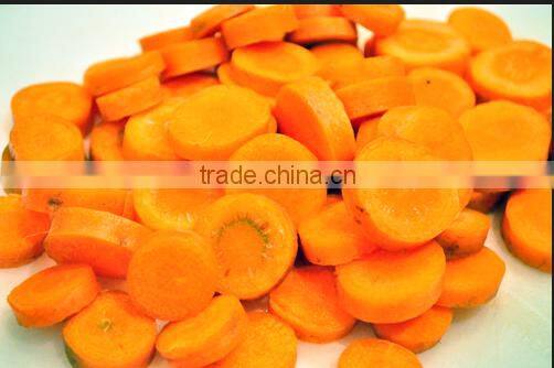 School Used Industrial TJ-311 Wafer Cutting Machine