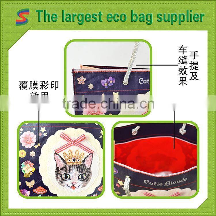 LB86 Non Woven Bag With Lamination