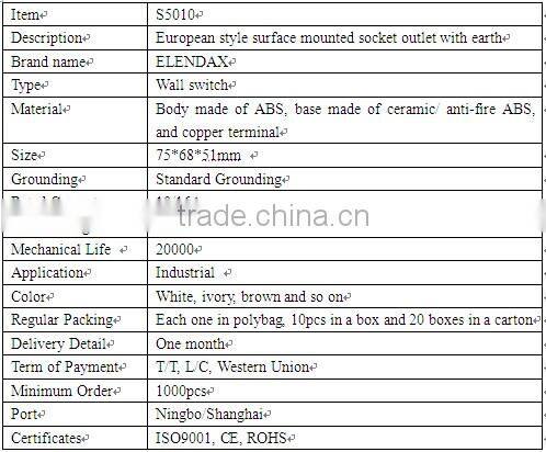 Euro Style Surface Mounted Standard Grounding Socket Outlet (S5010)