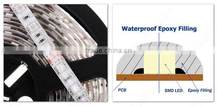 12V /24V Green SMD 5050 Waterproof Garden Decoration Cuttable LED Strip Light