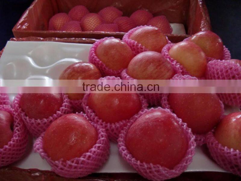 red fuji apple fresh fuji apple fresh red apple prices