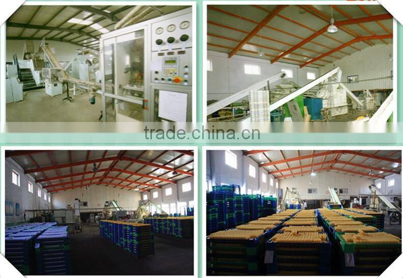 Rose Essential Oil Cleansing Organic Facial Soap