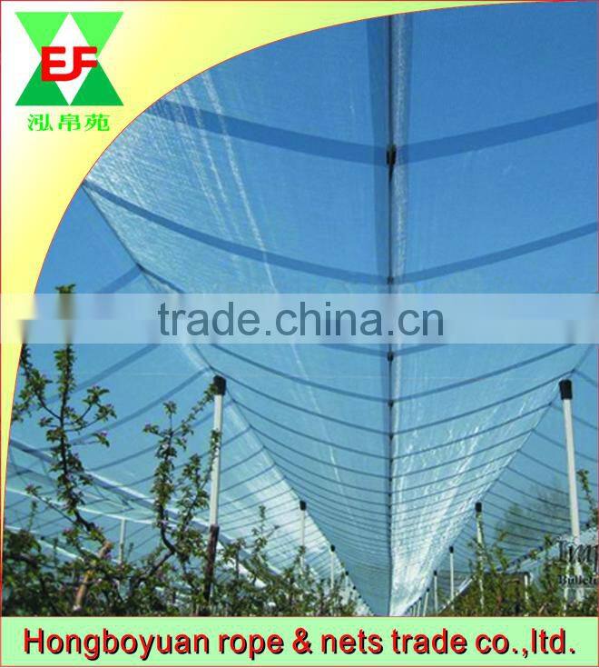Best price of transparent anti-hail net with UV protection in it