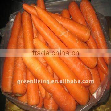 2014 whole sale parrot S(70-150g)/M(150-220g)/L(220-290g)