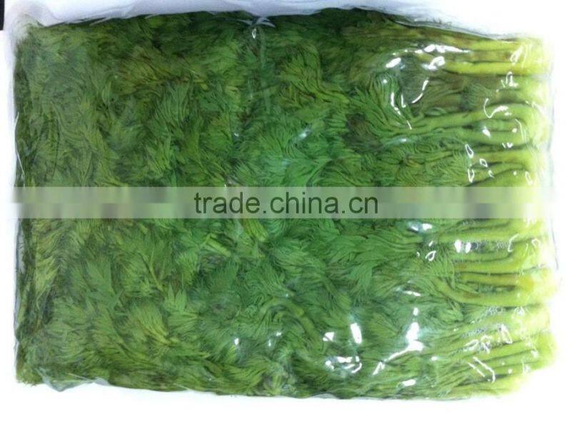 aralia elate seem in drum boiled aralia elate seem in bag boil vegetables