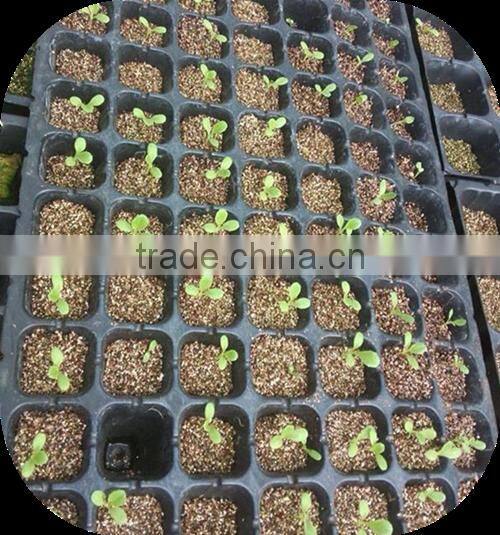 growing media vermiculite in Nursery potting mix