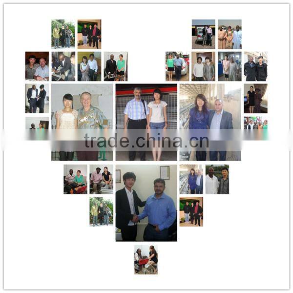 Automtic egg collection system