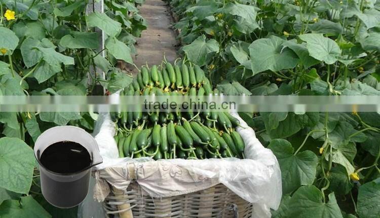 Best quality npk 19-19-19 powder foliar fertilizer on sale