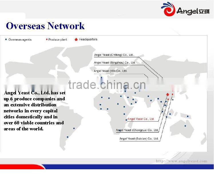 Angel Active Dry Yellow Wine Yeast,Chinese wine,saki