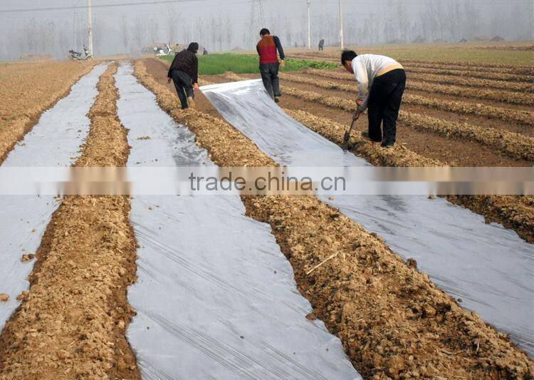 PE anti-drop mulch film