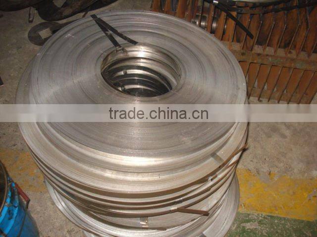 metal strips/thin metal strip