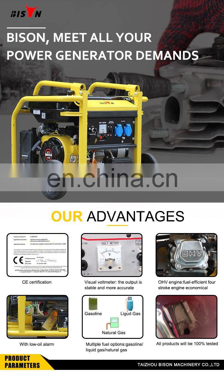 BISON CHINA 7000 watt Generator Natural Gas Air Cooled OHV Gasoline Generator 7kw Petrol Generator