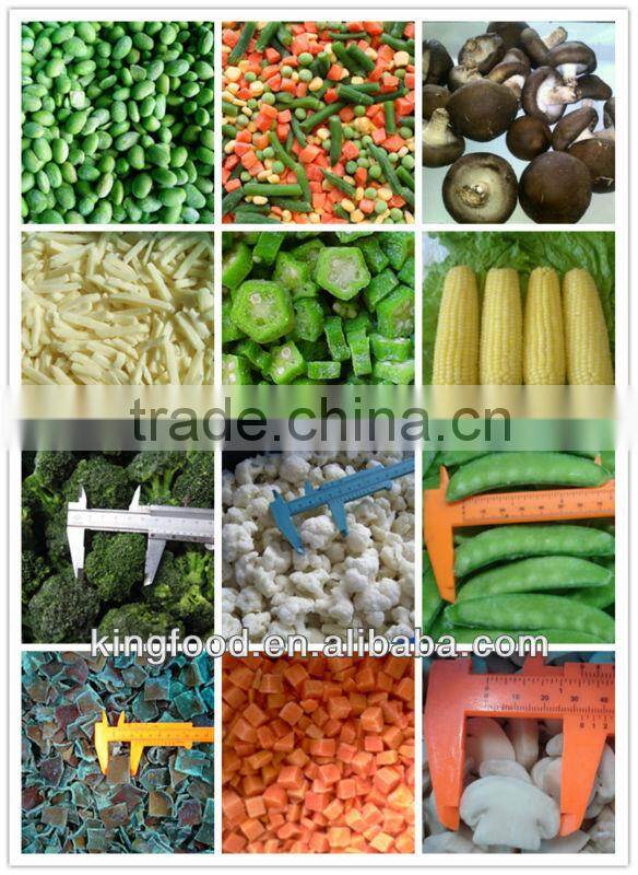 New Crop Frozen Broccoli Florets in Stock