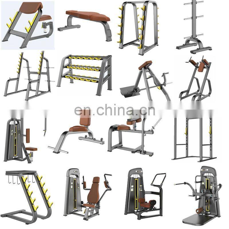 Commercial gym cheap fitness equipment roma bench ASJ-S830 Back Extension bench