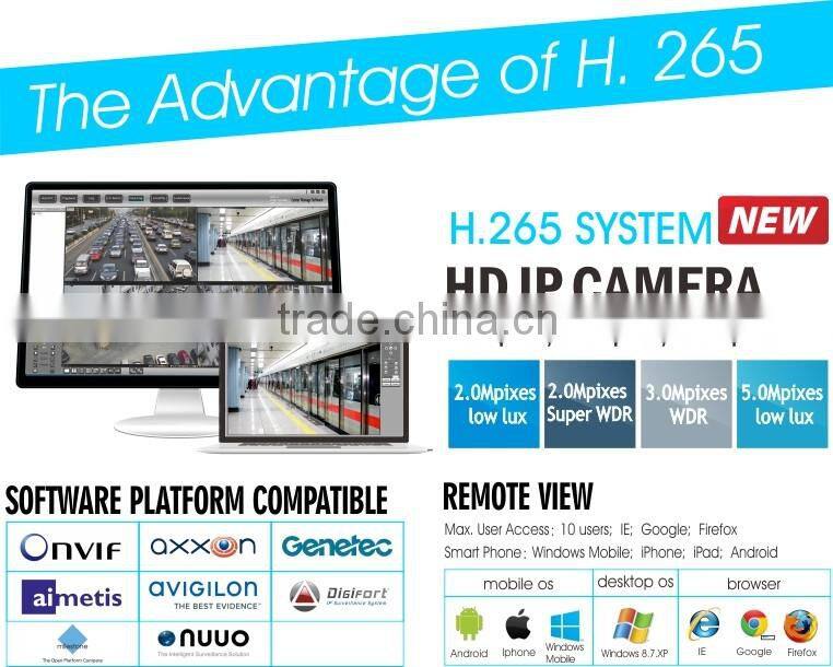 H.265 4.0MP HD IP WDR IR License Camera in white light