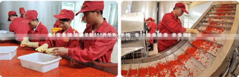 Super Goji for Health and Beauty with organic