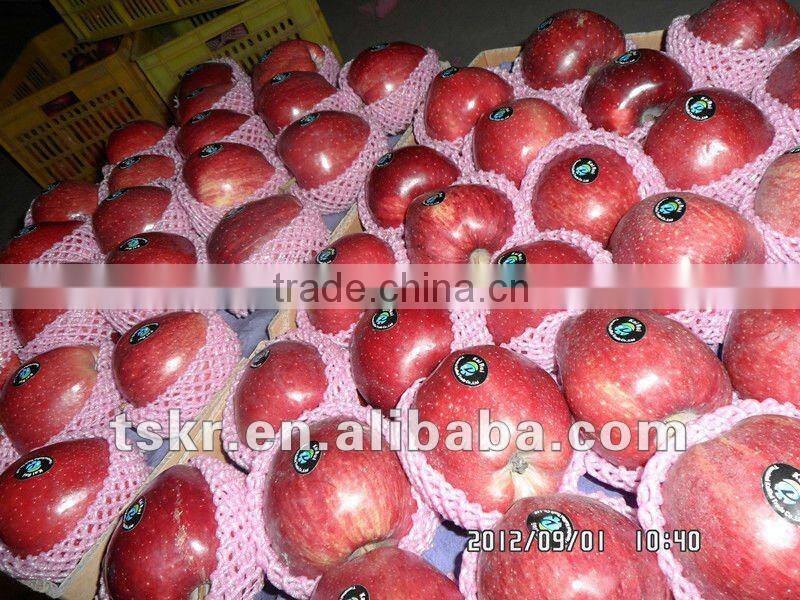 fruit market prices apple