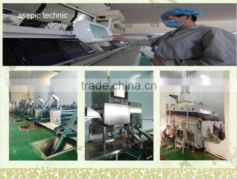 Shine Skin Pumpkin Seeds different types of seeds--East Dawn