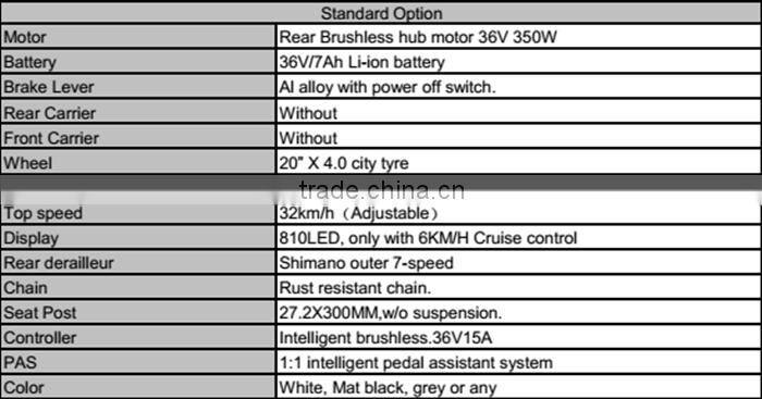 20" foldable Fat electric bike in china
