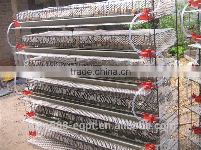 Poultry quail Cages for Quail Faming