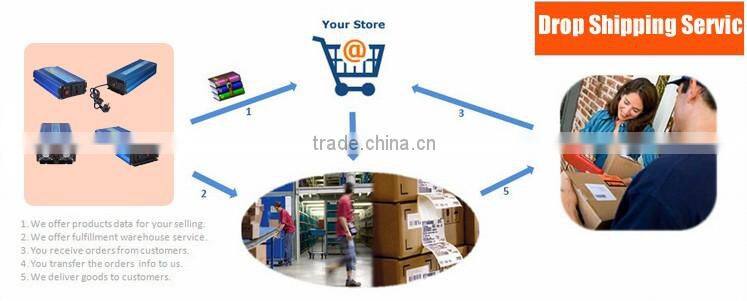 3000W For Pump Application Off Grid High Voltage 12VDC to 220V 230V 240VAC Single Phase Inverter