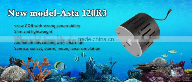 Factory direct selling custom luxury acrylic fish aquarium light clear acrylic fish tank