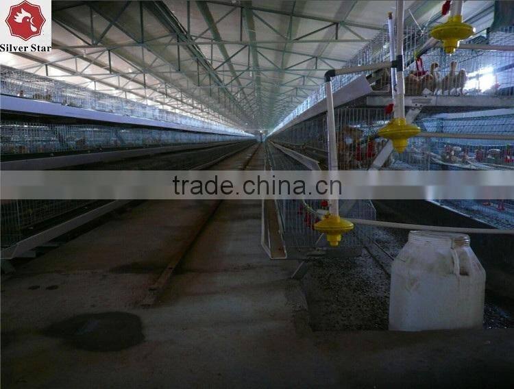 Chicken rearing cage, chicken farm cage for egg laying hens