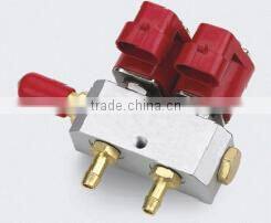 OEM 2 Cylinder LPG CNG Injectors Rail With 3Ohm Coil