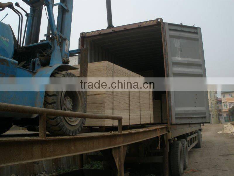 Keruing face & back plywood