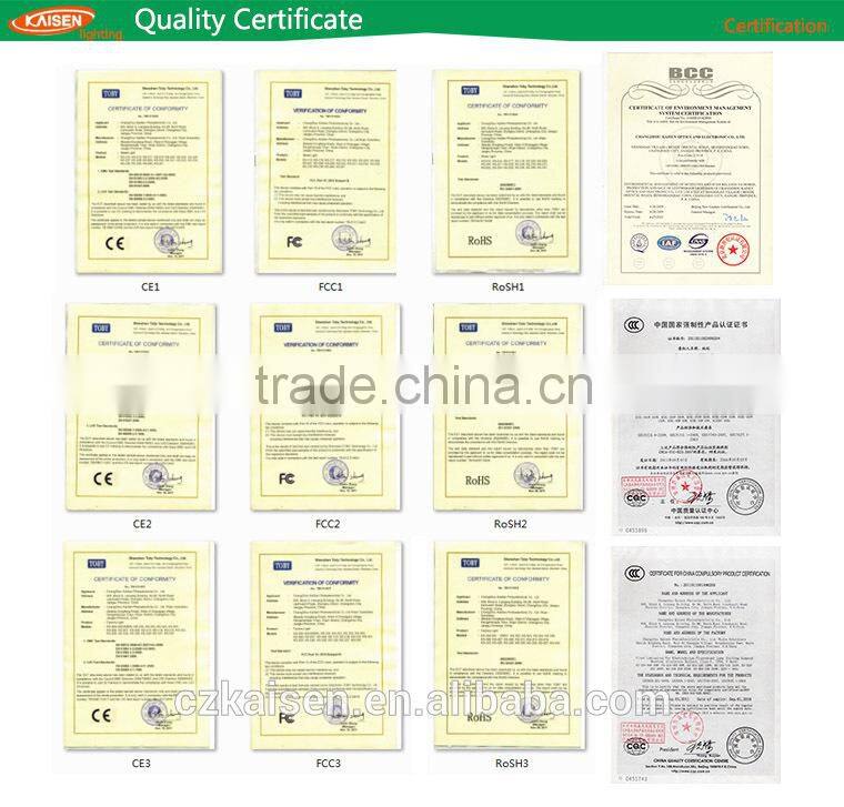 40w china outdoor new product energy saving induction garden light