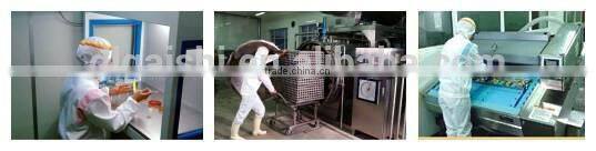 hot sale high quality delicious wholesale breadcrumbs