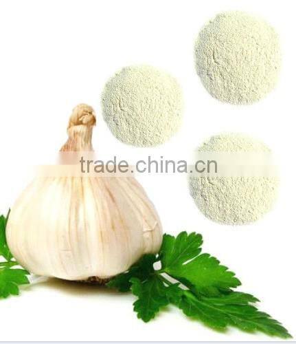 NEW CROP 100% Natural White Garlic Powder