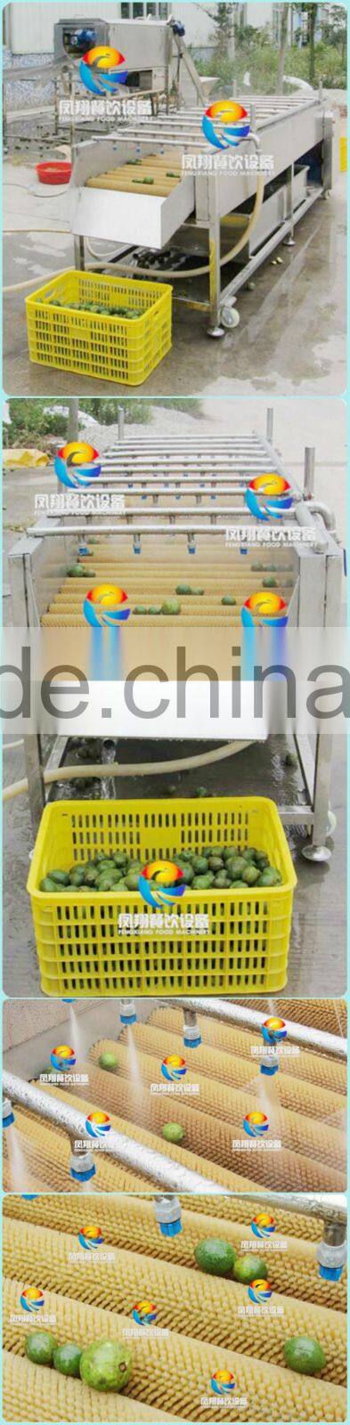 China Industrial Automatic Orange and Citrus Washing Machine