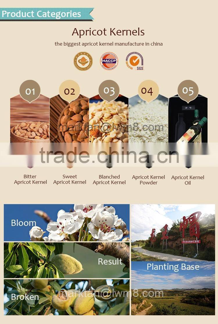 The blanched bitter apricot kernels/(GUANGBEI Type) made in china.