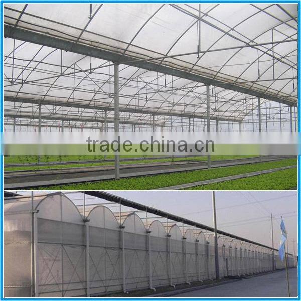 Large Multi-span Agricultural Greenhouse for Sale