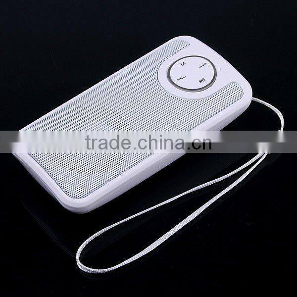 Mini Portable Speaker FM USB Disk SD MMC Music Player