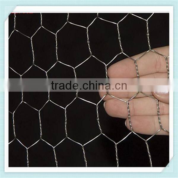 High quality gabion wire mesh/Hexagonal wire netting