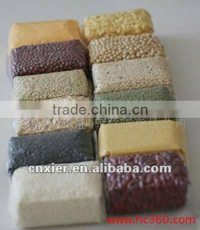 RZ420 automatic food vacuum packing machine