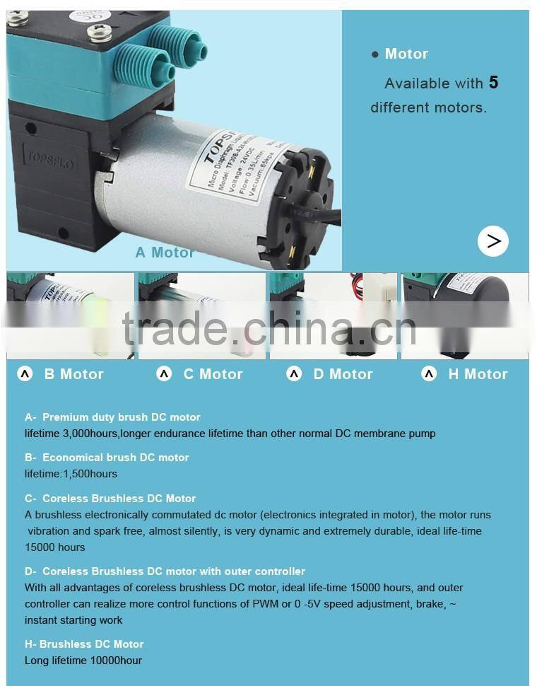 High Performance Liquid DC Diaphragm Chemical Free Water Treatment Systems pump