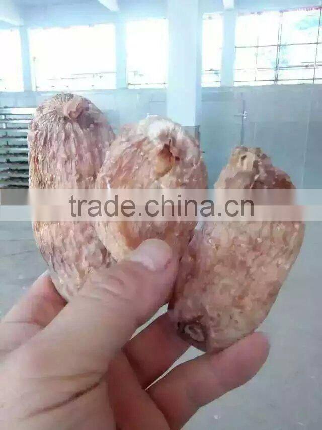 Rhizoma gastrodiae heat pump dehydrator