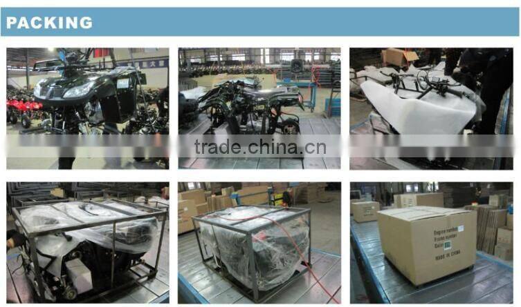 Adults snowmobiles for sale(S-05)