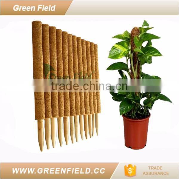 High quality coco pole for planter support