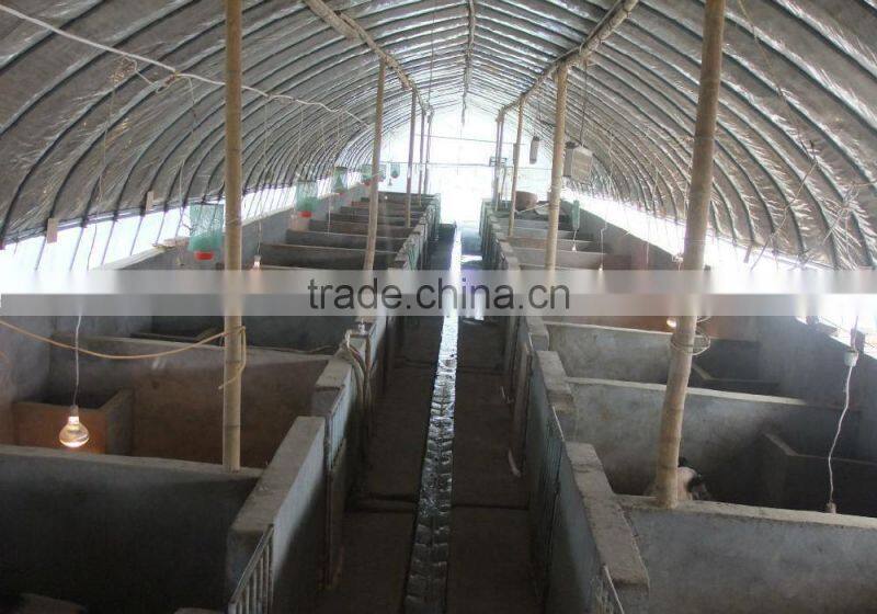 200mic, single span PE greenhouse film for Poultry cultivation
