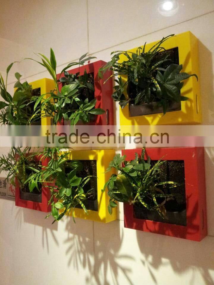 Artificial Succulent plant wall (special offer/bargain price:/2014 High Quality Factory price/outdoor & indoor )