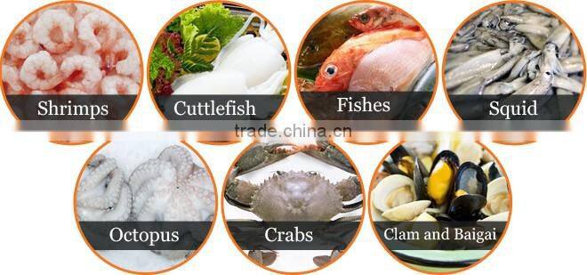 100% Fresh and Soft Best Quality Frozen Shrimps